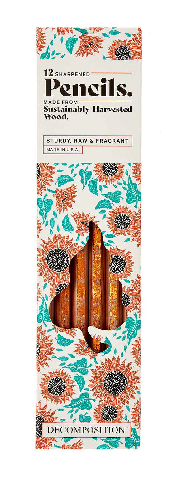 Decomposition Pencil Set-12pack
