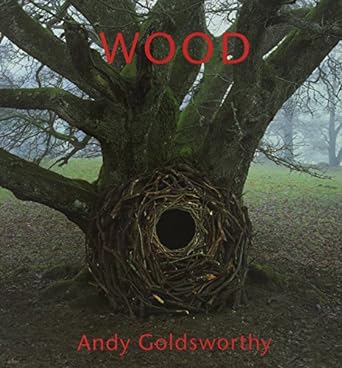 Andy Goldsworthy WOOD, used hardcover