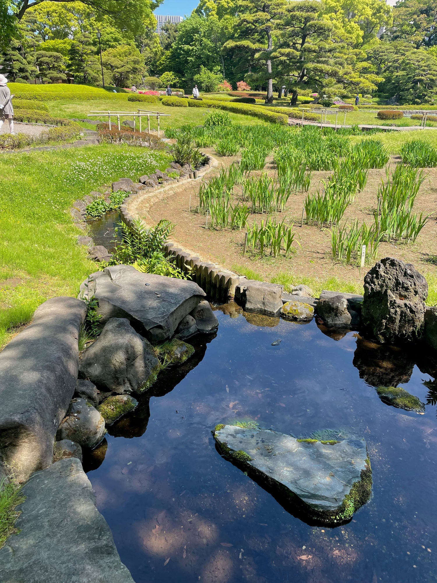 Landscape Architecture