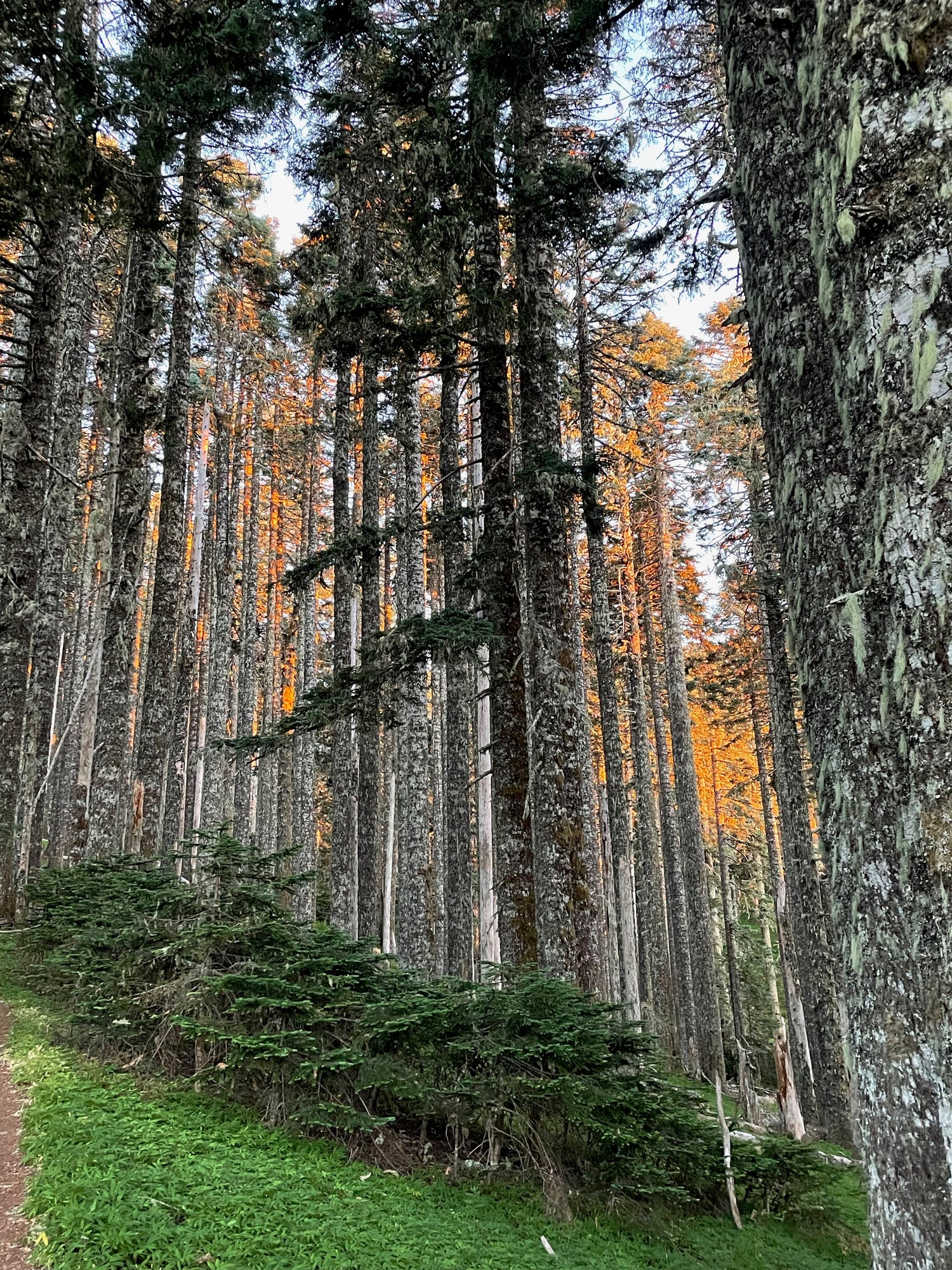 Pacific Northwest Focused