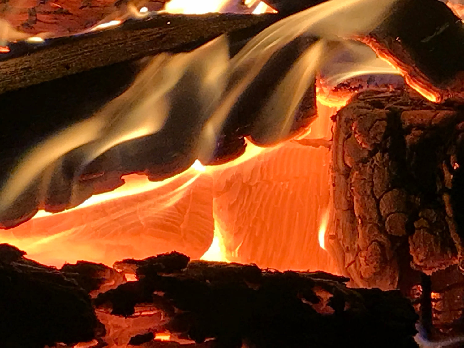 Primitive / Ancestral / Survival Skills