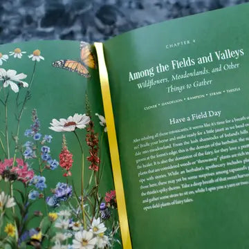 Enchanted Plants: A Treasury of Botanical Folklore and Magic by Varla A Ventura