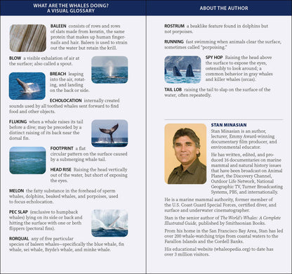 Whale-Watching on the Pacific Coast: Easily Identify Whales, Dolphins, and Other Marine Mammals: Easily Identify Whales, Dolphins, and Other Marine Mammals