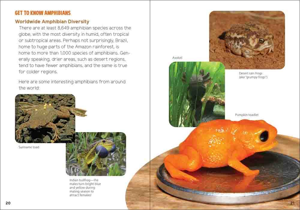 Reptiles & Amphibians for Kids: An Introduction to Herpetology (Turtles, Snakes, Frogs, Toads & More)