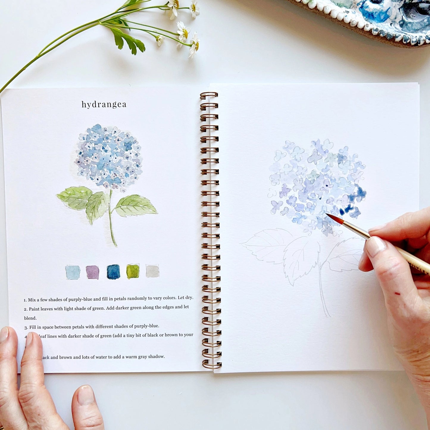 Flowers Watercolor Workbook by emily lex studio