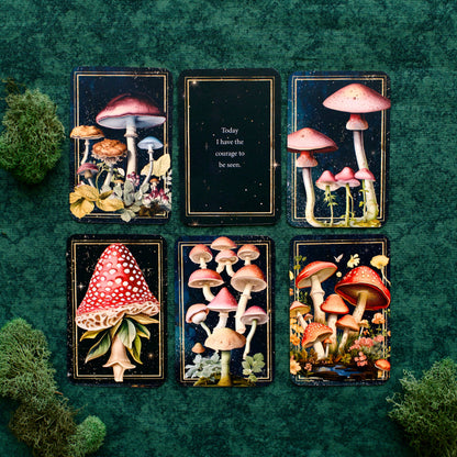 Mushrooms: Daily Doses of Wisdom (36 Gilt-Edged Full-Color Cards): Daily Doses of Wisdom (36 Gilt-Edged Full-Color Cards)