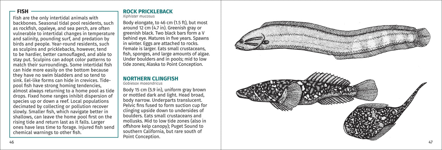 Pacific Intertidal Life 2nd Edition