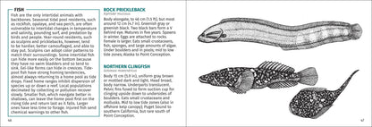 Pacific Intertidal Life 2nd Edition