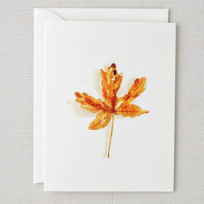 Autumn Notecard Set by Emily Lex
