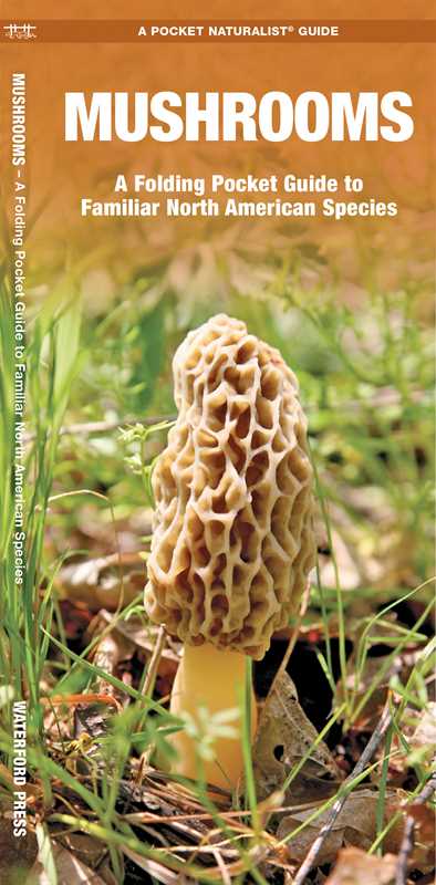 Mushrooms: An Introduction to Familiar North American Species (Folding Guide) by James Kavanagh