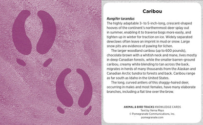 Animal & Bird Tracks: A Handy Reference Knowledge Cards: A Handy Reference Knowledge Cards
