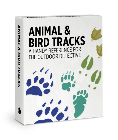 Animal & Bird Tracks: A Handy Reference Knowledge Cards: A Handy Reference Knowledge Cards