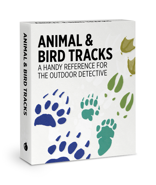 Animal & Bird Tracks: A Handy Reference Knowledge Cards