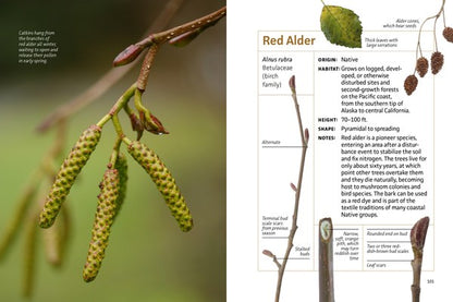 Winter Twigs of the Pacific Northwest: Common Trees and Shrubs