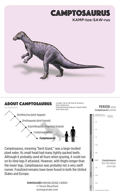 Dinosaurs Knowledge Cards