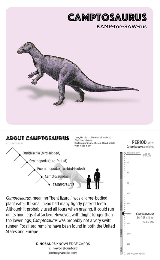 Dinosaurs Knowledge Cards
