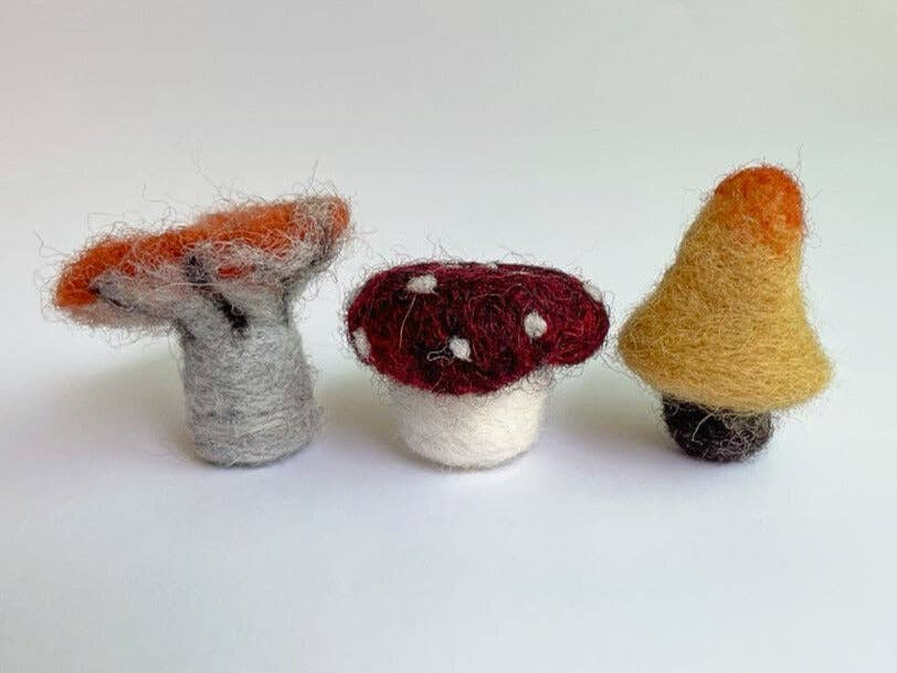 3 Classic Mushrooms Beginner Needle Felting Mini-Kit