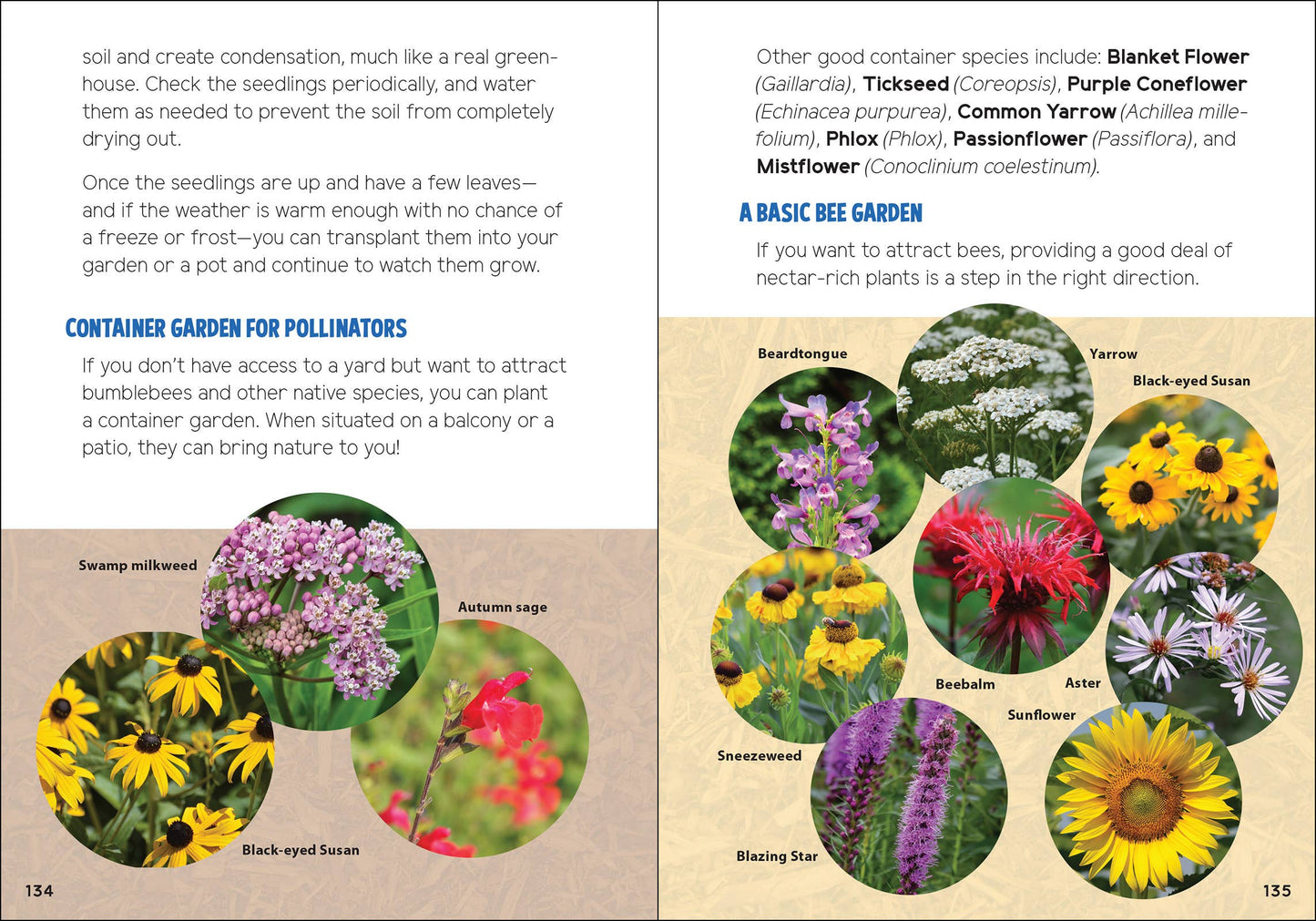 Pollinators & Native Plants for Kids: An Introduction to Botany by Jaret C. Daniels