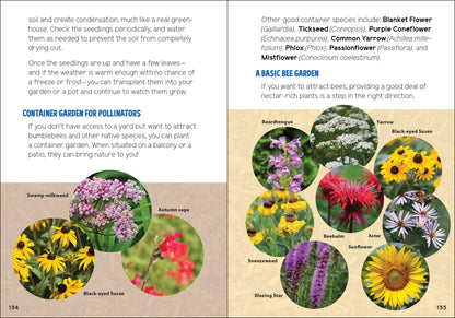 Pollinators & Native Plants for Kids: An Introduction to Botany by Jaret C. Daniels