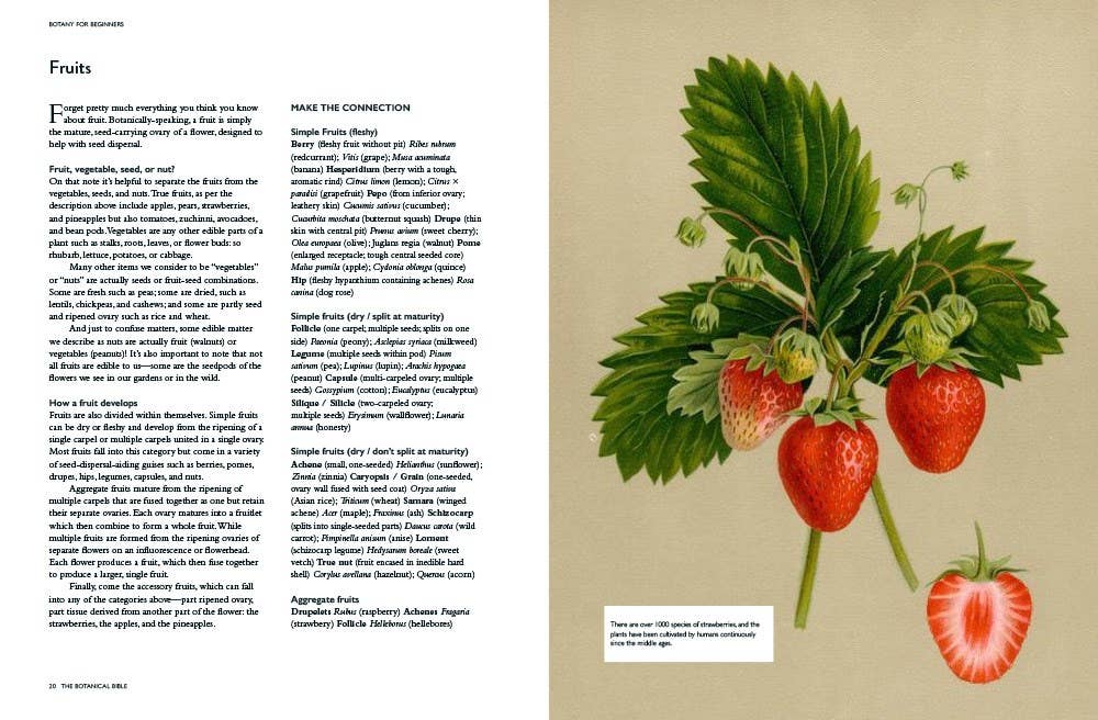The Botanical Bible: Plants, Flowers, Art, Recipes & Other Home Uses: Plants, Flowers, Art, Recipes & Other Home Uses