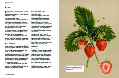 The Botanical Bible: Plants, Flowers, Art, Recipes & Other Home Uses: Plants, Flowers, Art, Recipes & Other Home Uses