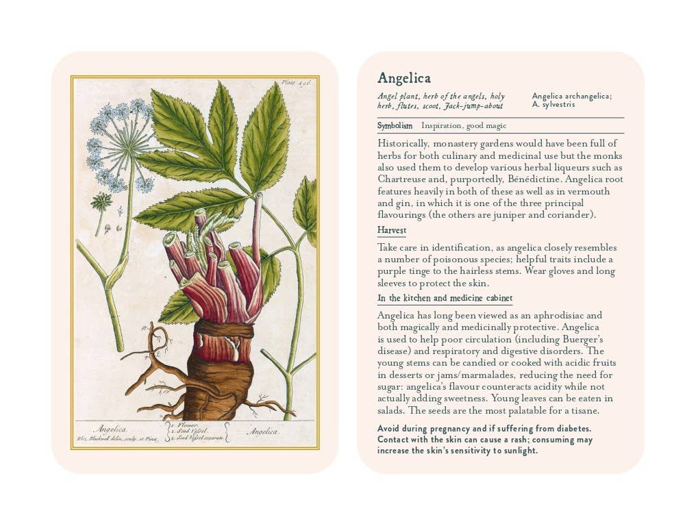 Healing Plants: 50 Botanical Cards Illustrated by the Pioneering Herbalist Elizabeth Blackwell: 50 Botanical Cards Illustrated by the Pioneering Herbalist Elizabeth Blackwell