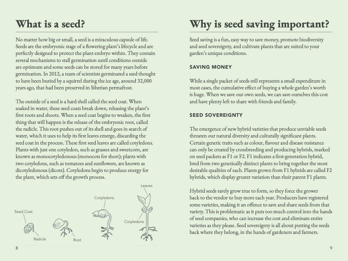 The Seed Collector's Kit: Collect - Sow - Grow - Harvest: Plant Your Garden from Seed with 50 Informative Cards, Five Collection Envelopes, and a Practica