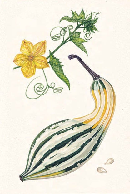 The Seed Collector's Kit: Collect - Sow - Grow - Harvest: Plant Your Garden from Seed with 50 Informative Cards, Five Collection Envelopes, and a Practica