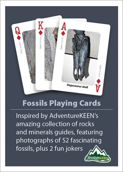 Fossils Playing Cards