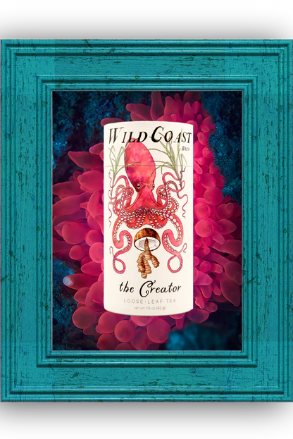 The Creator - Wild Coast Brew Loose Leaf Tea