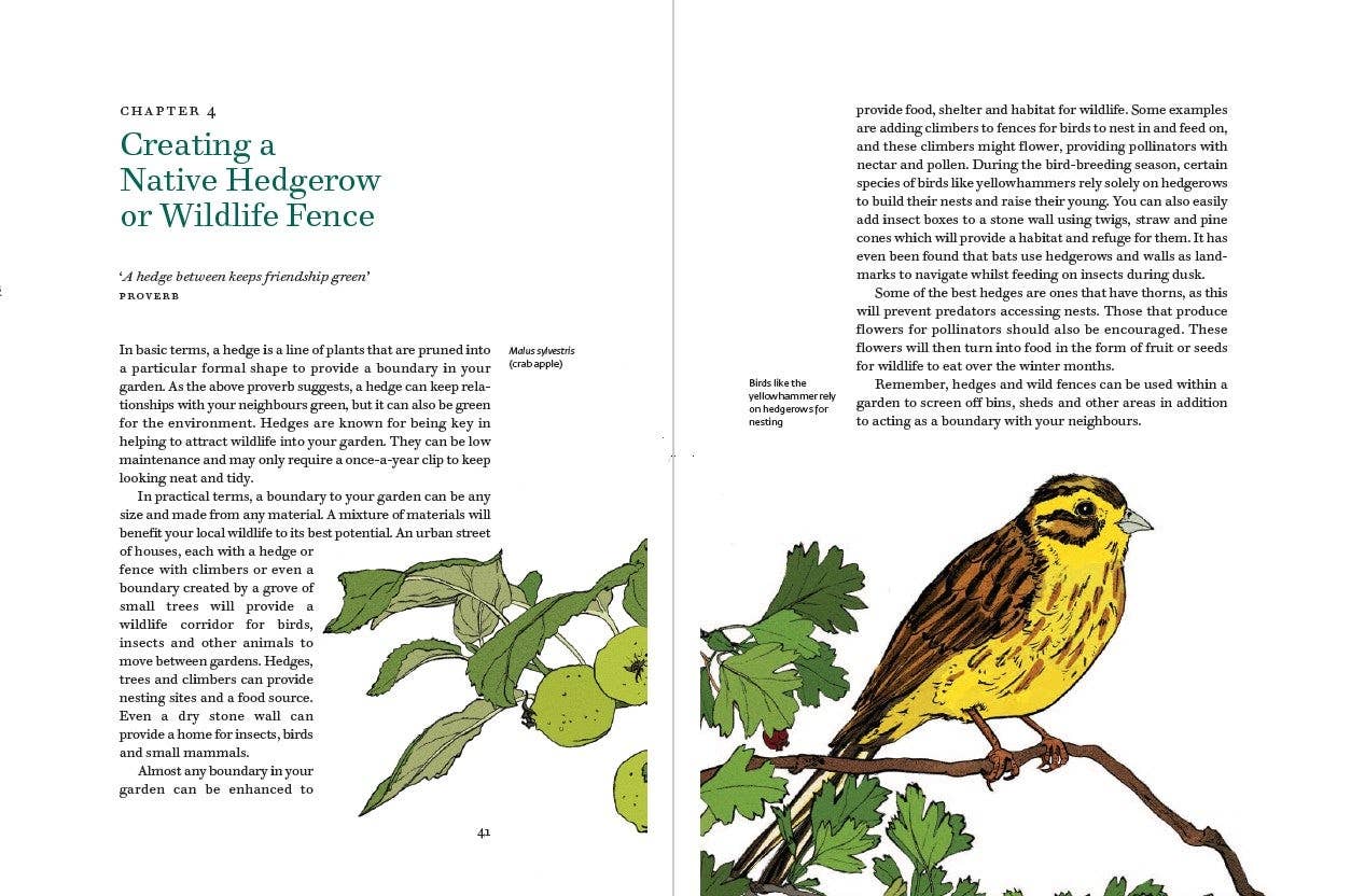 Planting with Nature: A Guide to Sustainable Gardening