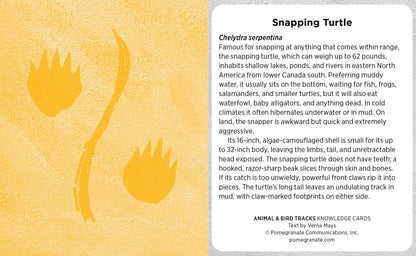 Animal & Bird Tracks: A Handy Reference Knowledge Cards: A Handy Reference Knowledge Cards