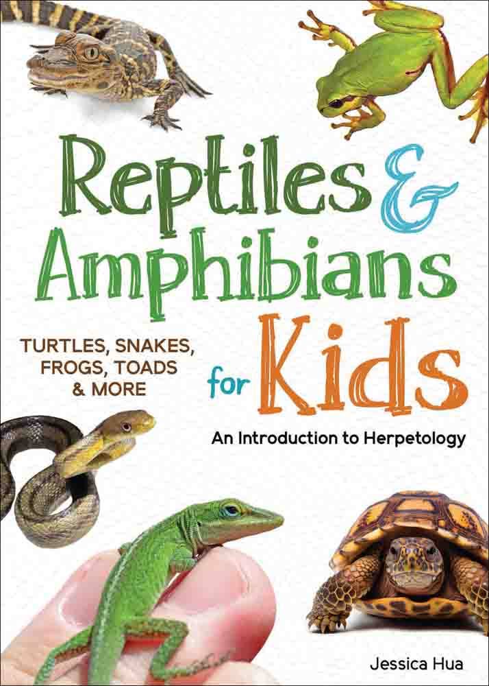 Reptiles & Amphibians for Kids: An Introduction to Herpetology (Turtles, Snakes, Frogs, Toads & More)
