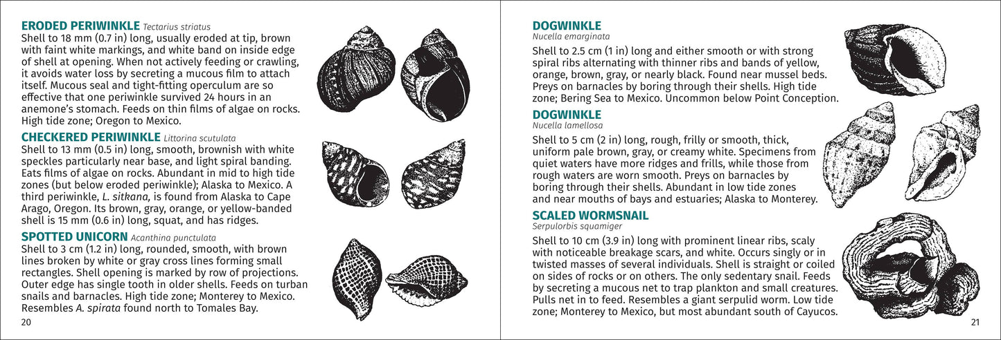 Pacific Intertidal Life 2nd Edition