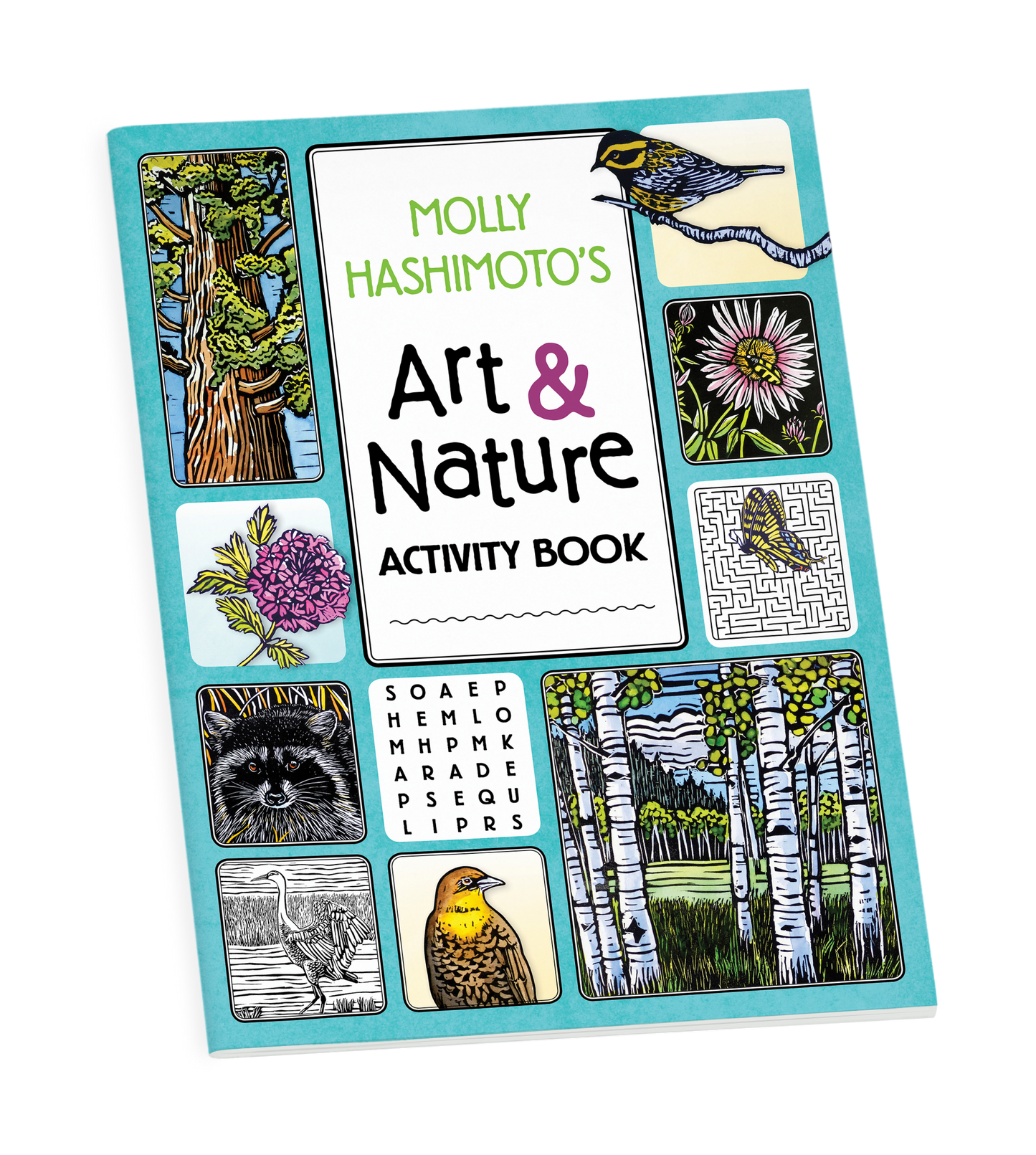 Molly Hashimoto's Art & Nature Activity Book
