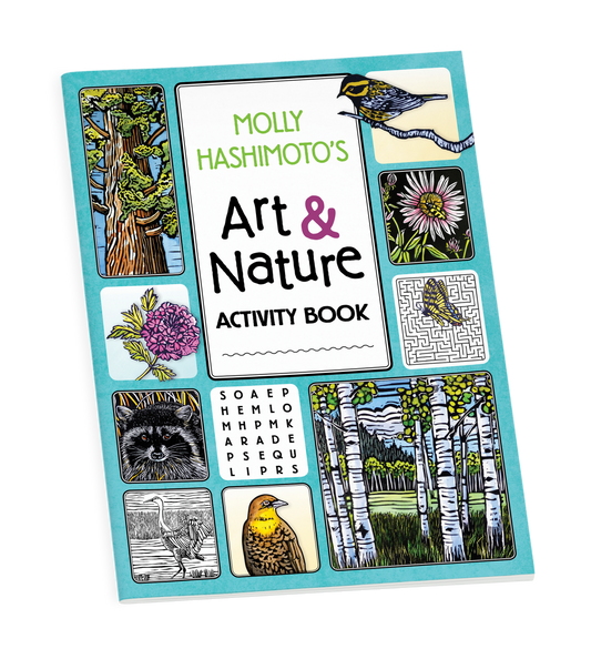 Molly Hashimoto's Art & Nature Activity Book