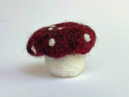 3 Classic Mushrooms Beginner Needle Felting Mini-Kit