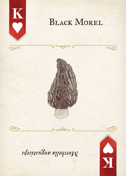 Fungi, Mushrooms & Lichens Playing Cards