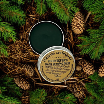 Field & Forest Fold Herbal First Aid Kit, Made by Ecozoica Apothecary