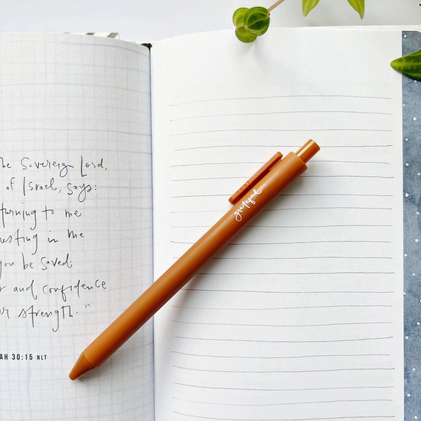 Jotter Pen-Assorted