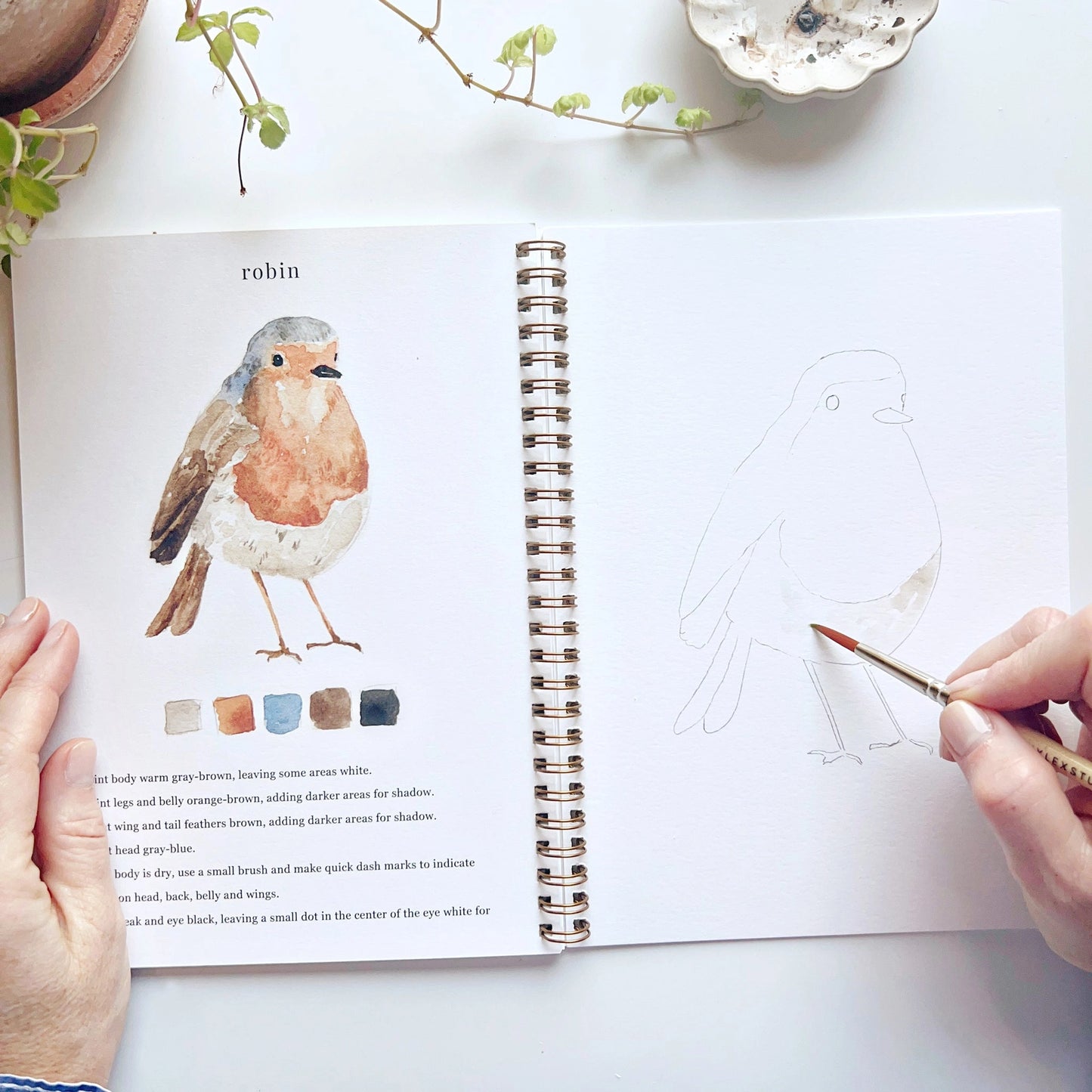 Birds Watercolor Workbook by Emily Lex Studio