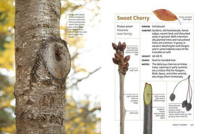 Winter Twigs of the Pacific Northwest: Common Trees and Shrubs