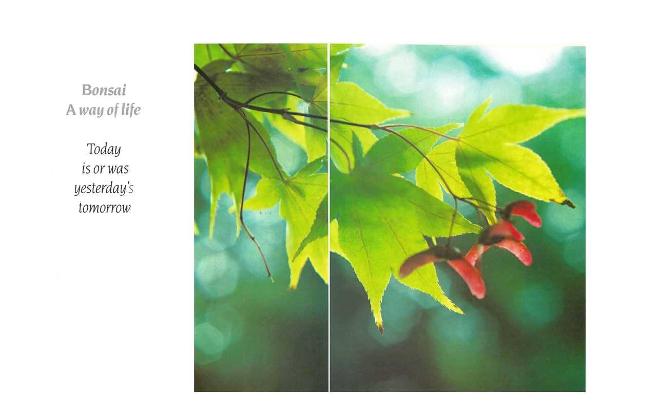 The Bonsai Book: The Definitive Illustrated Guide by Dan Barton