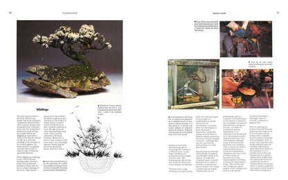 The Bonsai Book: The Definitive Illustrated Guide by Dan Barton