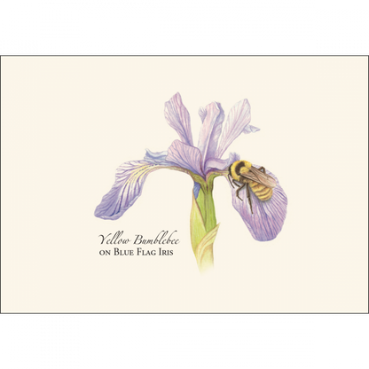 Bumblebee Assortment Notecard Set