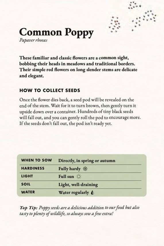 The Seed Collector's Kit: Collect - Sow - Grow - Harvest: Plant Your Garden from Seed with 50 Informative Cards, Five Collection Envelopes, and a Practica