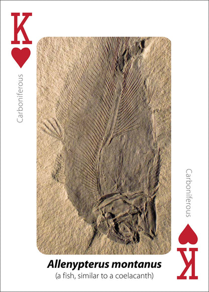 Fossils Playing Cards