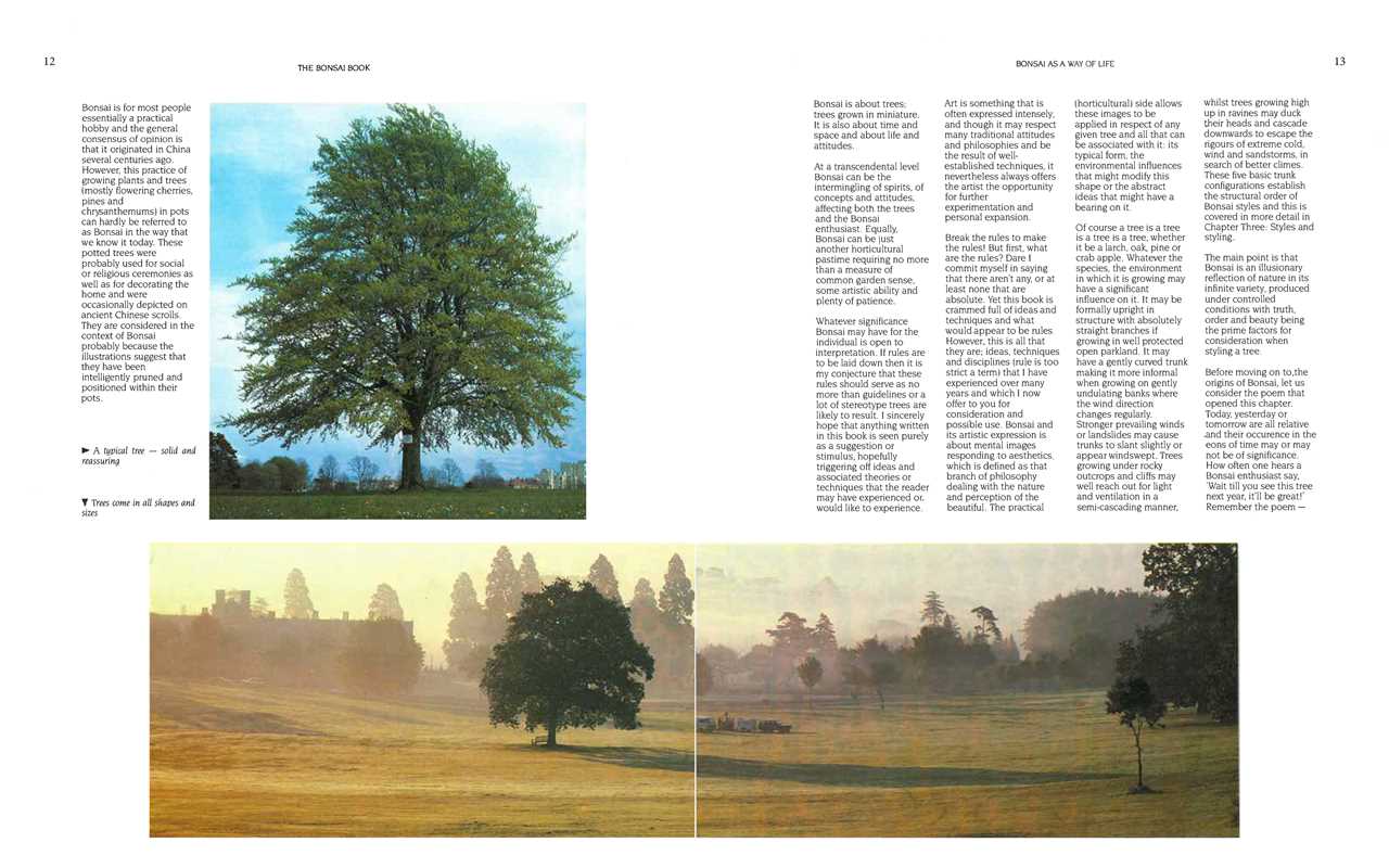 The Bonsai Book: The Definitive Illustrated Guide by Dan Barton