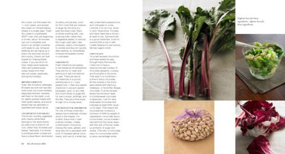 The Christmas Table: Recipes and Crafts to Create Your Own Holiday Tradition by Diane Morgan