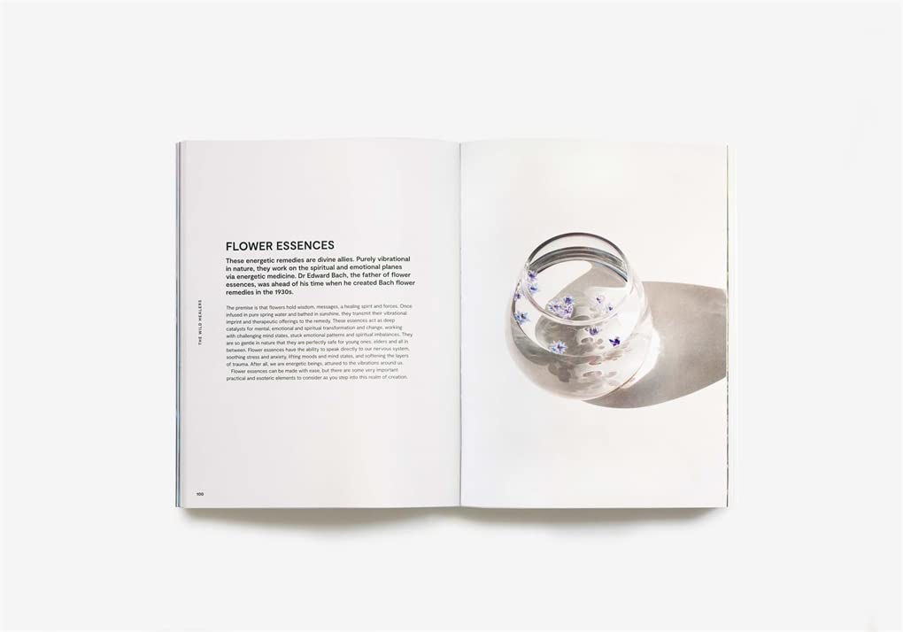 Plants For the People: A Modern Guide to Plant Medicine by Erin Lovell Verinder, Georgia Blackie (Photographer)